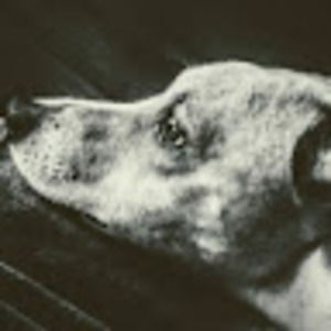 Meet your Posher, Addison